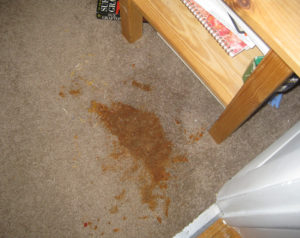 bad-carpet-stain